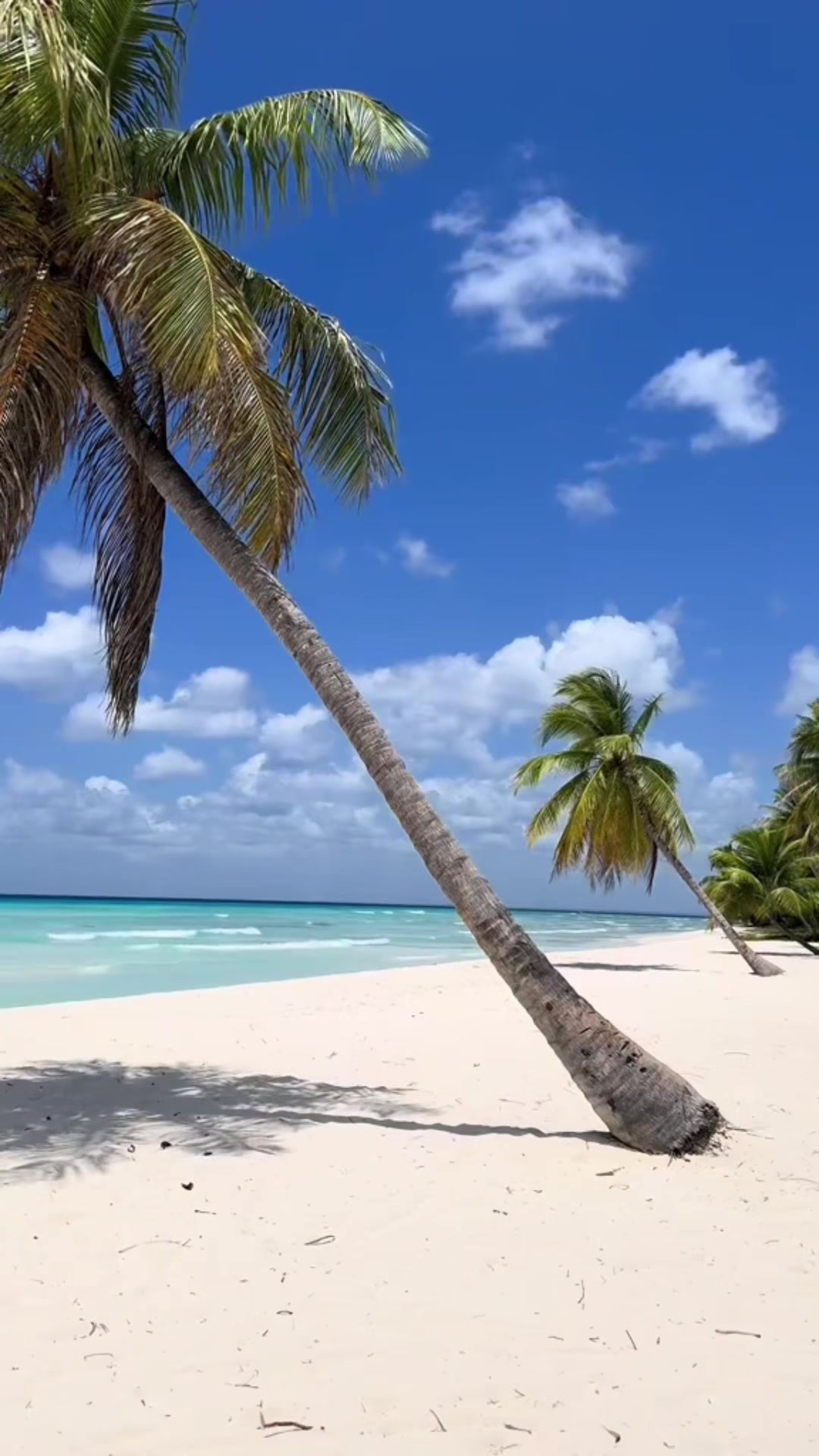 Canadians and US, let’s turn your dream beach trip into reality! We have discounted Cancun packages for couples, families, or solo travelers